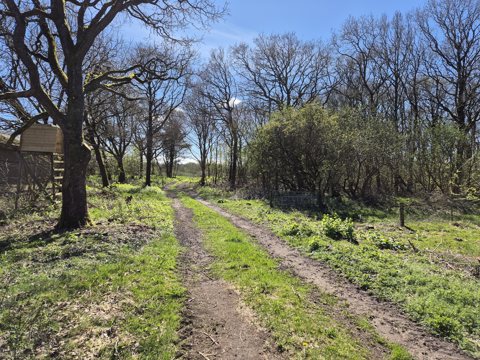 Sjælden udbudt naturperle – stor grund med uanede muligheder på Flegumvej i Årup